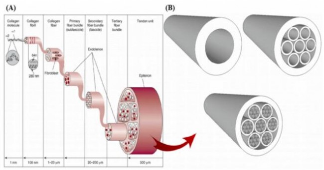 Nature_Bio_article_5