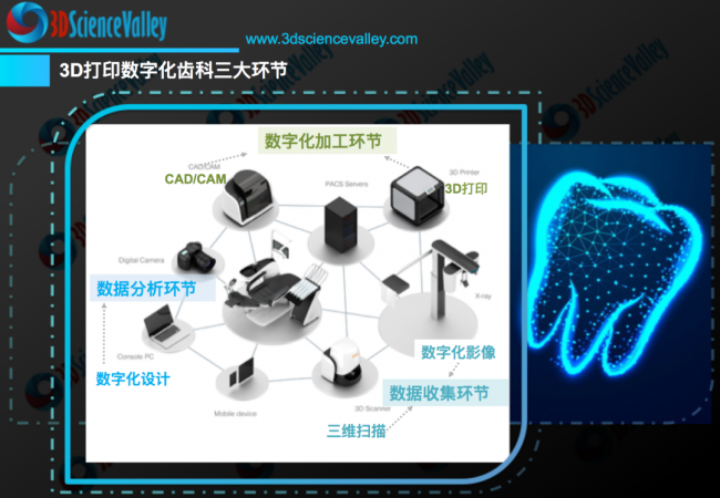 valley 齿科