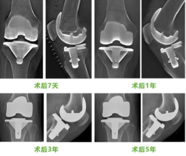 截屏2025-08-10 10.43.05