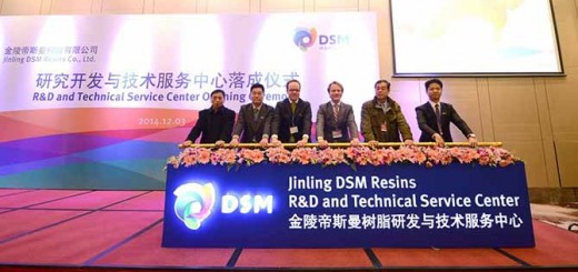 dsm