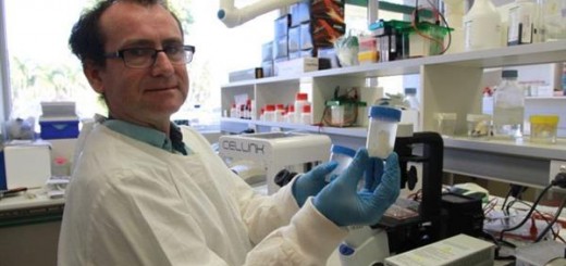 3d printing & Cartilage repair