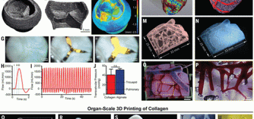 Carnegie Mellon bio 3d printing-4