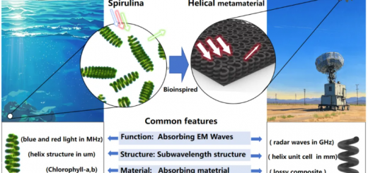 paper_Bio_1