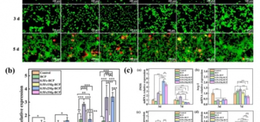 paper_Bi Ca_4