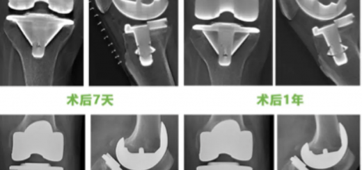 截屏2025-08-10 10.43.05