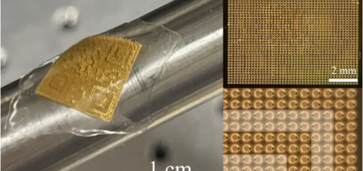 LLNL 1