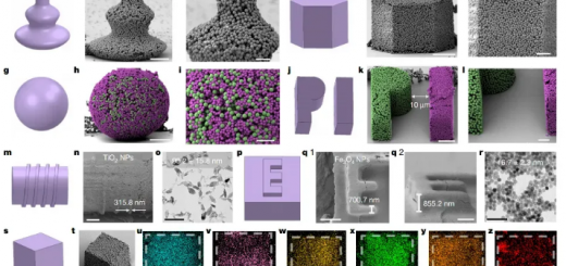 Paper_micro4